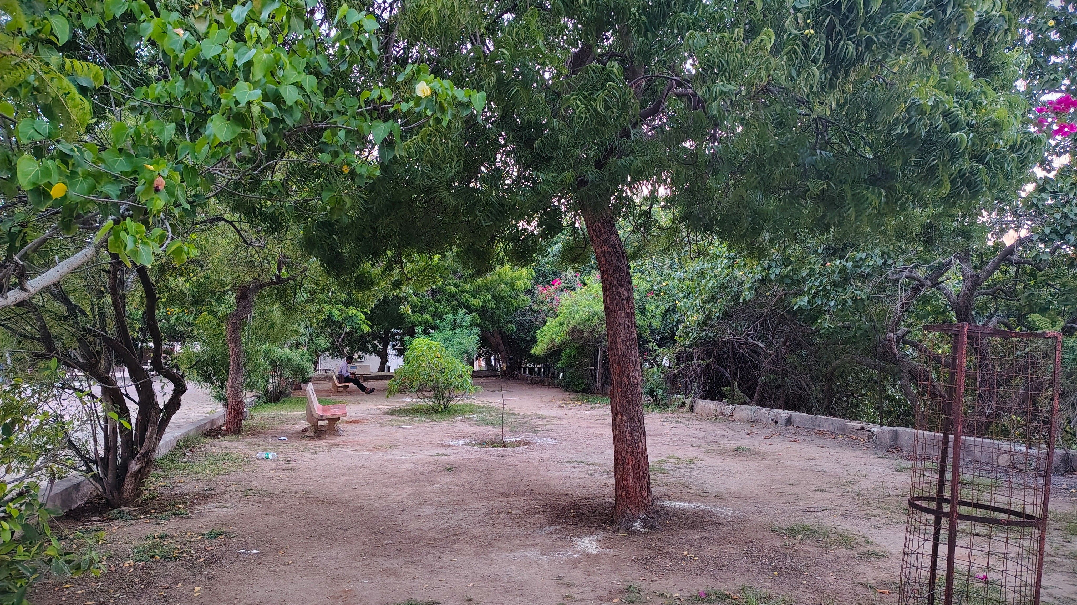 Location Image